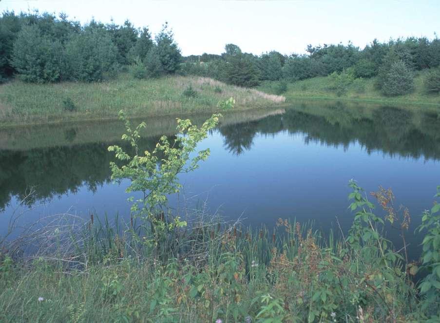 QUALITY PONDS COME FROM PROPER PLANNING,