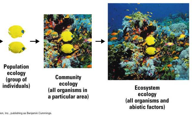 Ecosystem Ecology Community (biotic factors) interacts with abiotic factors Objectives Compare the processes of energy flow and chemical cycling as they relate to ecosystem dynamics.