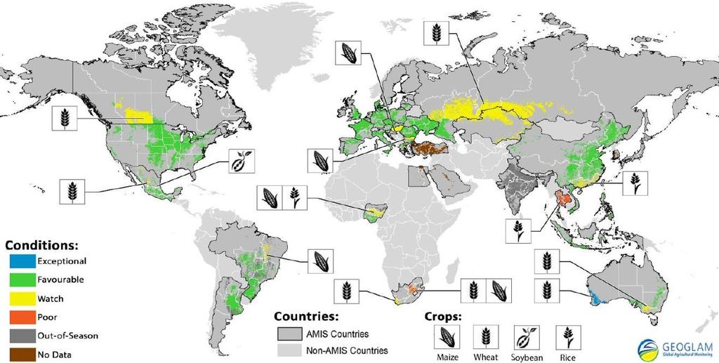 Favourable Weather in the Main Cereal and Oilseed Production Areas Crop Conditions in AMIS Countries (as of end May 2015) Source: AMIS El