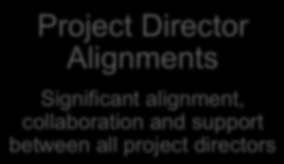 decision process Project Director