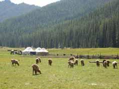 Project Background The Xinjiang Uygur Autonomous Region, which is the field of this project, is mostly arid or semi-arid land, and nomadic grazing is a traditional part of life primarily in the