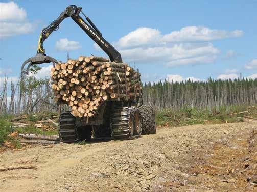 FINDING MORE FIBRE: Looking Harder, Working Smarter Our forest industry is up to the tough challenge of harvesting more wood in sustainable Crown forests, though the task will involve innovation and