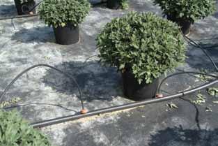 Masterbatches for Irrigation Pipes n Definitions Drip irrigation: the application of water through emitters as drops or small streams to or below the soil surface via relatively narrow tubing or pipe.