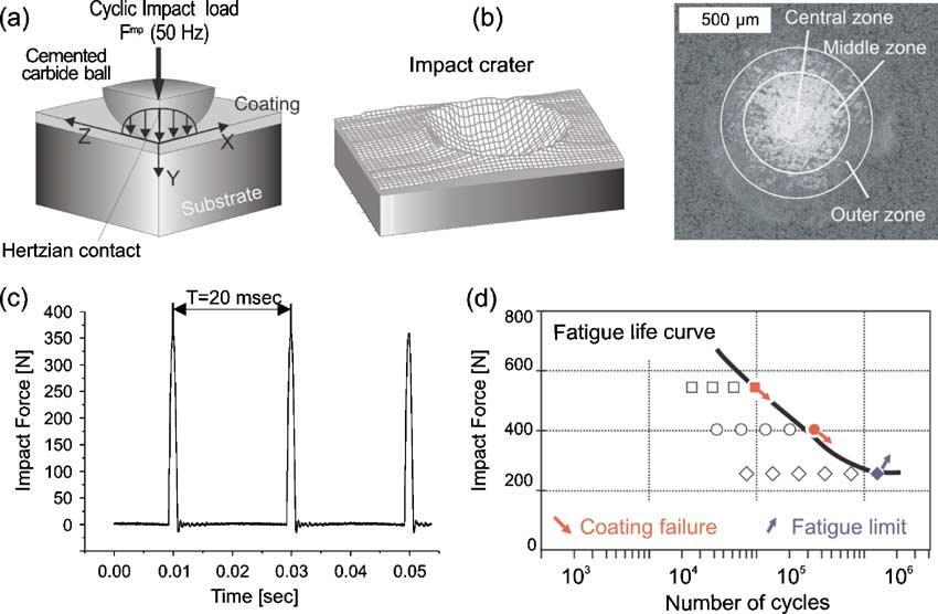DAVID ET AL. ON IMPACT FATIGUE FAILURE OF HVOF COATINGS 3 FIG. 2 (a) Working principle of the impact testing, (b) scanned impact craters, (c) impact force signal, (d) coating fatigue life curve.