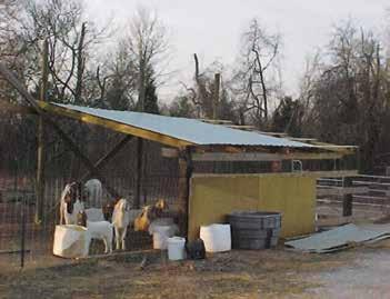 Chapter 12 Housing and Corrals Tom Smith Introduction to Goat Housing While goats are very adaptable and were originally wild animals, they have become domesticated by man and have been introduced to