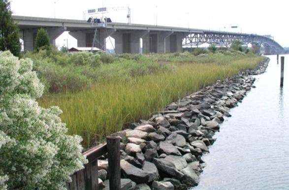are placed in a manner that do not sever the physical connection to the riparian, intertidal and subaqueous areas to qualify as living shoreline practices.