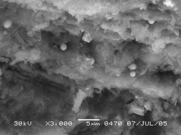 12 A.I. Nizovskii et al. / Procedia Engineering 113 ( 2015 ) 8 12 Conclusion Fig.4. SEM micrograph of products of reaction of activated aluminum with water.