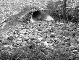 protection) Before newly constructed stormwater channels or