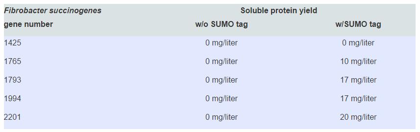 Increase Soluble Protein Yield Cleavable SUMO Tag