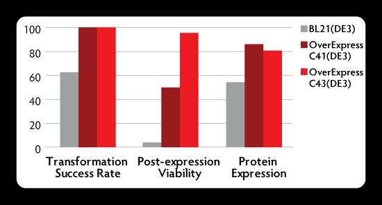 Improve Expression of Toxic/Membrane Proteins OverExpress C41(DE3) & C43(DE3) Competent Cells Mutant strains derived from BL21 (DE3) for toxic proteins (membrane proteins, cytoplasmic proteins,