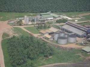 Palm oil mill in Malaysia (photo from gopdc-ltd.com) There are 417 palm oil mills in Malaysia, of which 246 are in Peninsular Malaysia and 117 in Sabah.