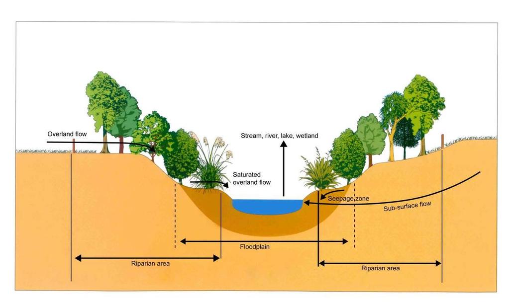 Land Management 14 September 2017 Figure LM 1 Riparian Area Adapted from Taranaki Regional Council, 2001. Appropriate management of riparian areas has a number of benefits, including: 1 Water quality.