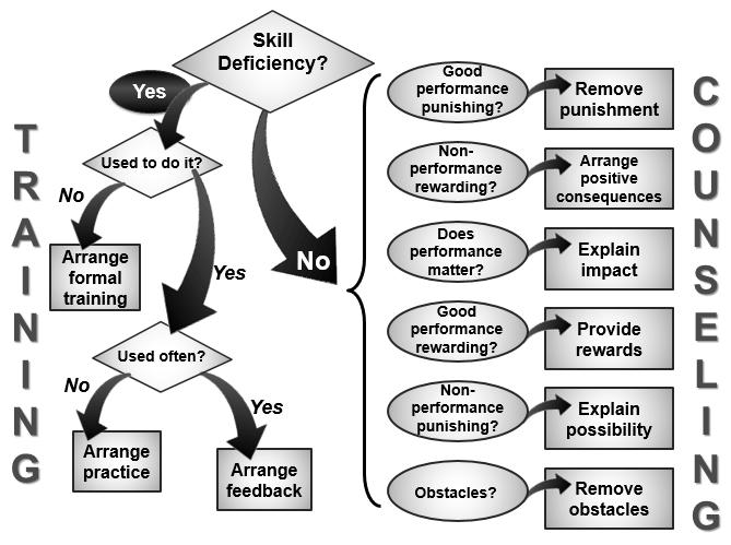 Coaching Analysis Model #2