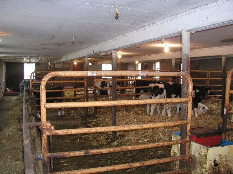 Original Barn Plan View Floor Joists Bedded Platform Posts Longitudional (King) Beam Bedded Platform 12'-6" 10'-0" 12'-6" Bedded Inside ing