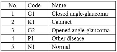 6 th TOPIC However, in order to make a convergence disease, we modify new code for eye diseases as shown in Table 5.