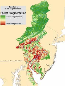 How to Adapt Forests to Climate Change Reduce the impacts of other stresses: air pollution, insects and diseases Avoid creating barriers to species migration such as forest fragmentation Monitor