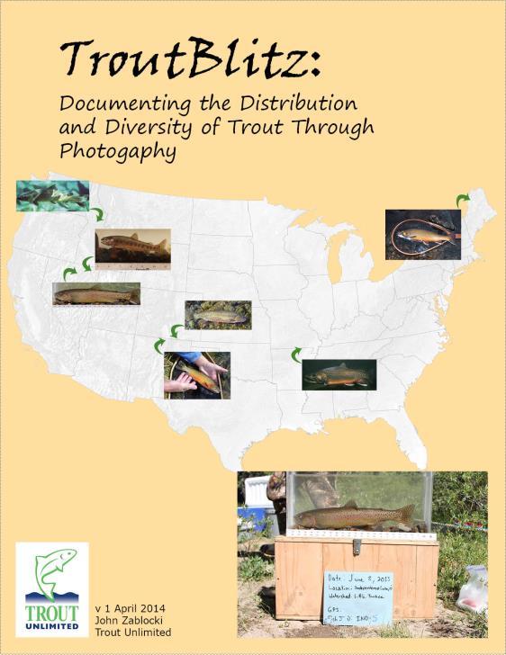 Increase awareness of trout diversity Pictures of