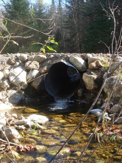 Culvert Assessments States, organization and