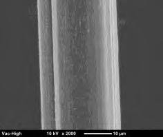 reported that PVA fibers could not be spun by a similar gel-spinning method if the CNF weight ratio was above 1% in the PVA solution due to the difficulty in dispersing high aspect ratio CNF [4, 9].