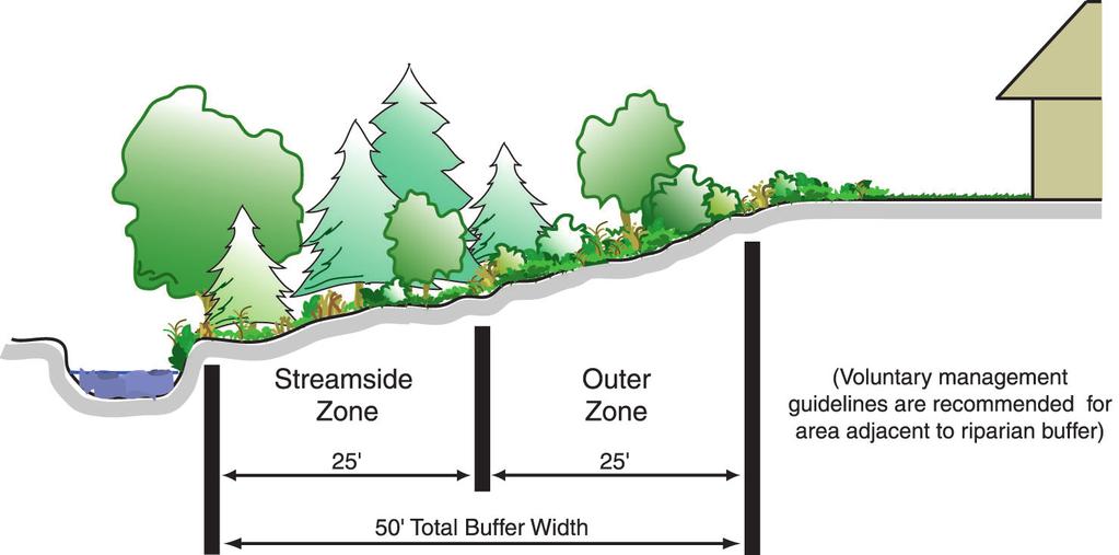 Guidelines for Implementation This document will outline the general guidelines for the design and implementation of a riparian buffer program in Marquette County.