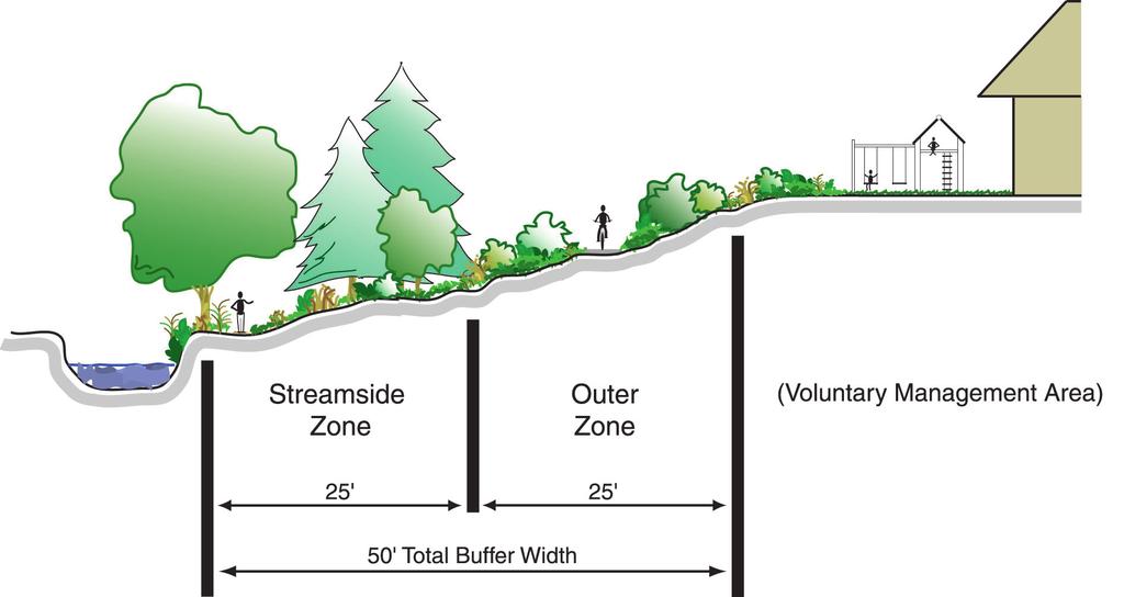 Other Recommended Management Guidelines While the official boundary of the Riparian Buffer ends 50 from the stream s edge, there are several voluntary steps that private landowners whose property