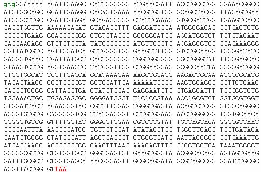 nucleotides (AGCT) in DNA dictates the order of amino acids that make