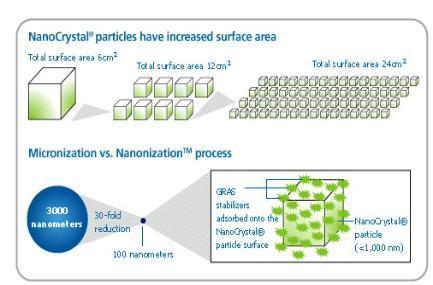 nano orange book patents nanoparticulate TriCor (fenofibrate) U.S.