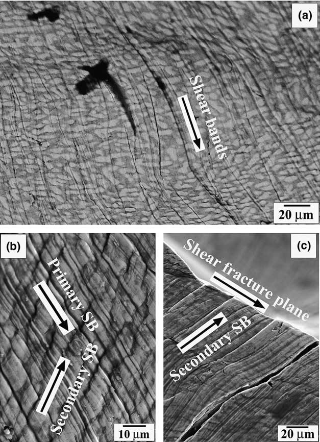 Z.F. Zhang et al. / Scripta Materialia 52 (2005) 945 949 947 deformation, yielding followed by plastic deformation with significant work-hardening, and final shear fracture.