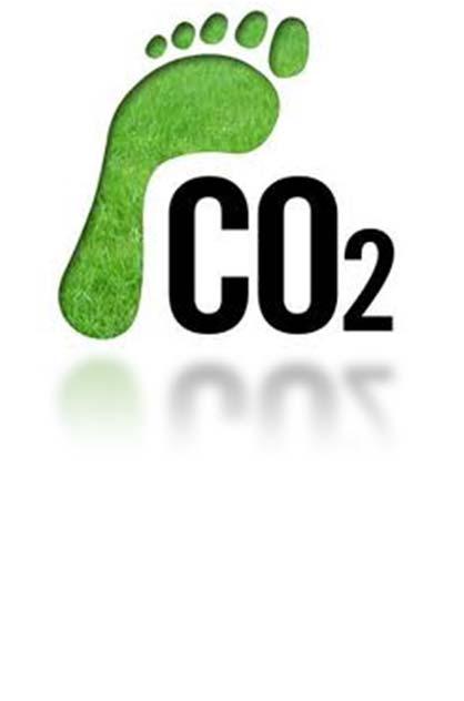 + Carbon Content 60.00% Carbon Content Percentage 50.00% 40.00% 30.00% 20.00% 10.