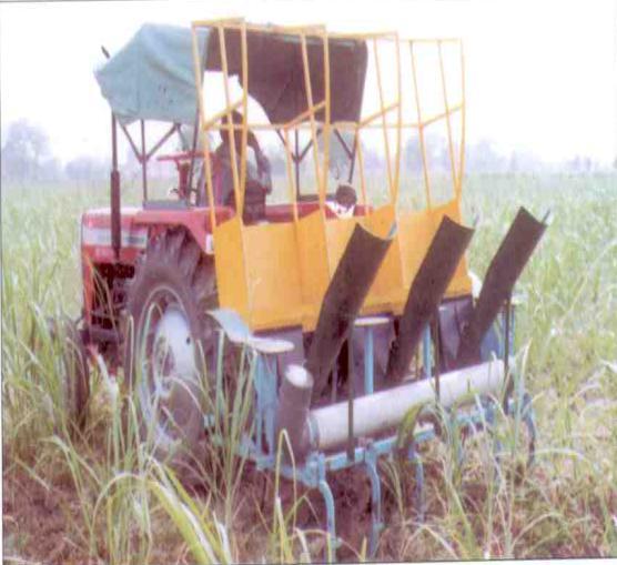 3. WEEDING AND INTERCULTURE Sugarcane requires number of intercultural operations for weed control, moisture conservation and creation of better environment for overall growth of plant.