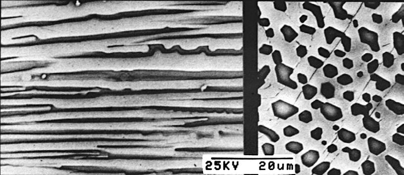 solidified α-ti solid solution grains (white areas) and fine grained eutectic (a).