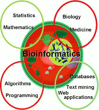 Bioinformatics Bioinformatics is the application of information