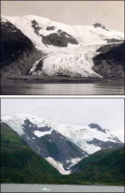 Shrinking Glaciers Near term Increased summer streamflow Long term reductions Alaska's Toboggan Glacier is one of thousands in the state