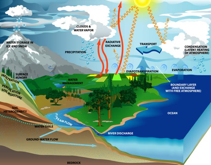 Warming accelerates the hydrologic cycle Surface temperature Evaporation Water holding