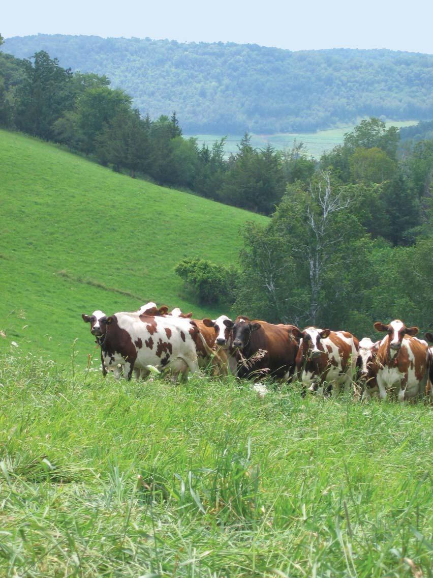 Introduction Management intensive rotational grazing, MIG, grassbased or pasture-based farming by whatever name you call it, managed grazing has spread throughout the state and is now an established