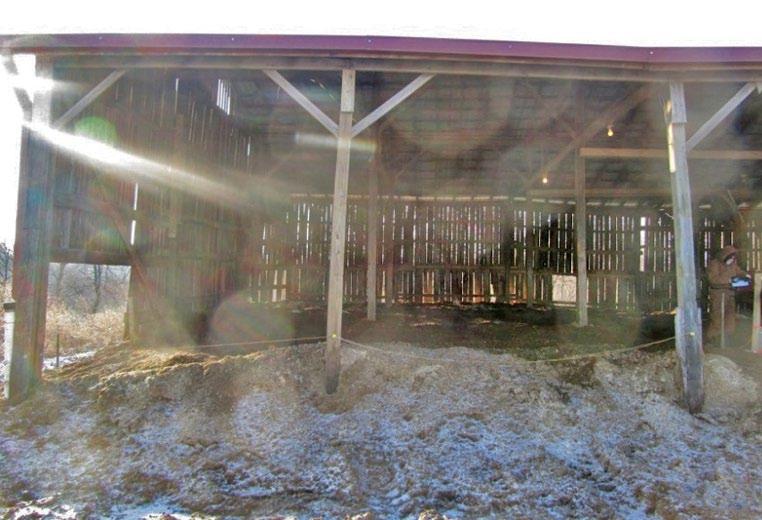 Closed-in barns do not allow for proper cow cooling and pack ventilation (Figure 27). Eave overhangs should be equal to one-third of the height of the sidewall to minimize rain from reaching the pack.