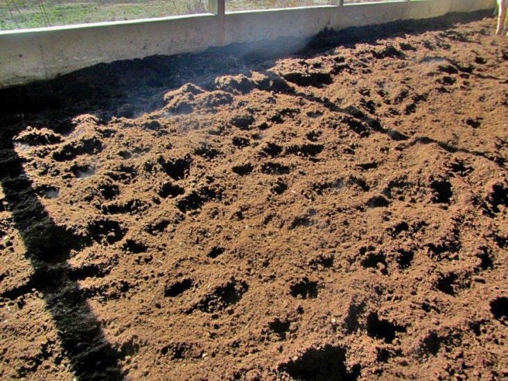 Keys to Barn Management As with any facility, the success of a compost bedded pack barn hinges largely on how well it is managed. Maintaining proper aeration and stocking density are essential.