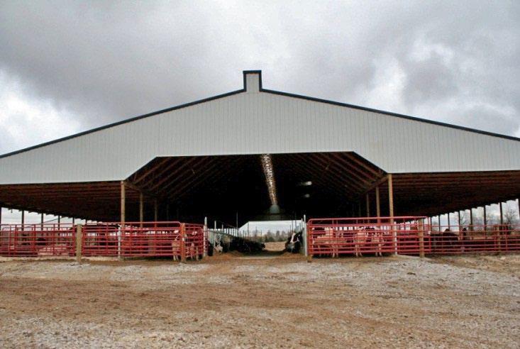 manure storage, and at least 100 square feet of resting space per cow.