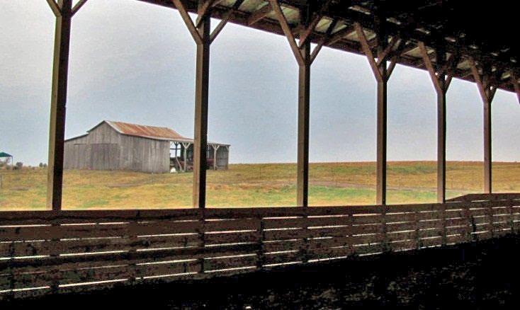 concrete, (B) wood plank, or (C) highway guardrail. Other barns (D) have minimal to no separation between the pack area and the outside of the barn or feed alley. All designs can work well.