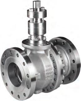 Severe Service applications downstream Argus valves