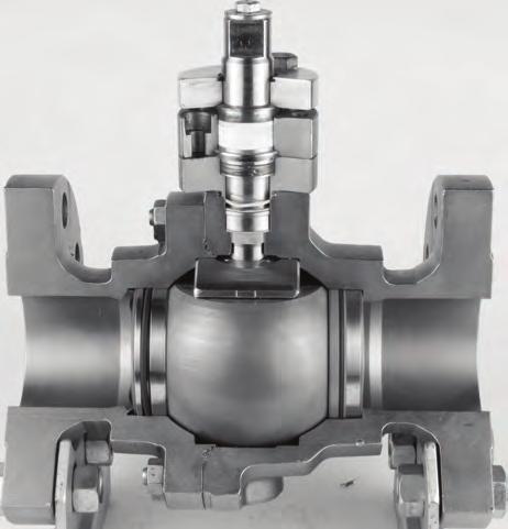 Argus Trunnion design features Argus trunnion ball valves are designed for the highest demands.