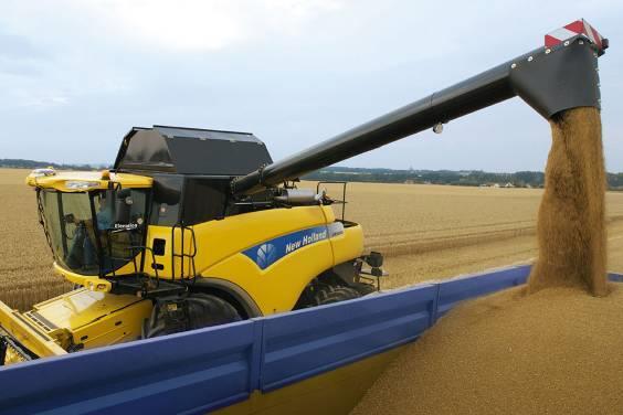 Highest Grain Yield Highest % of