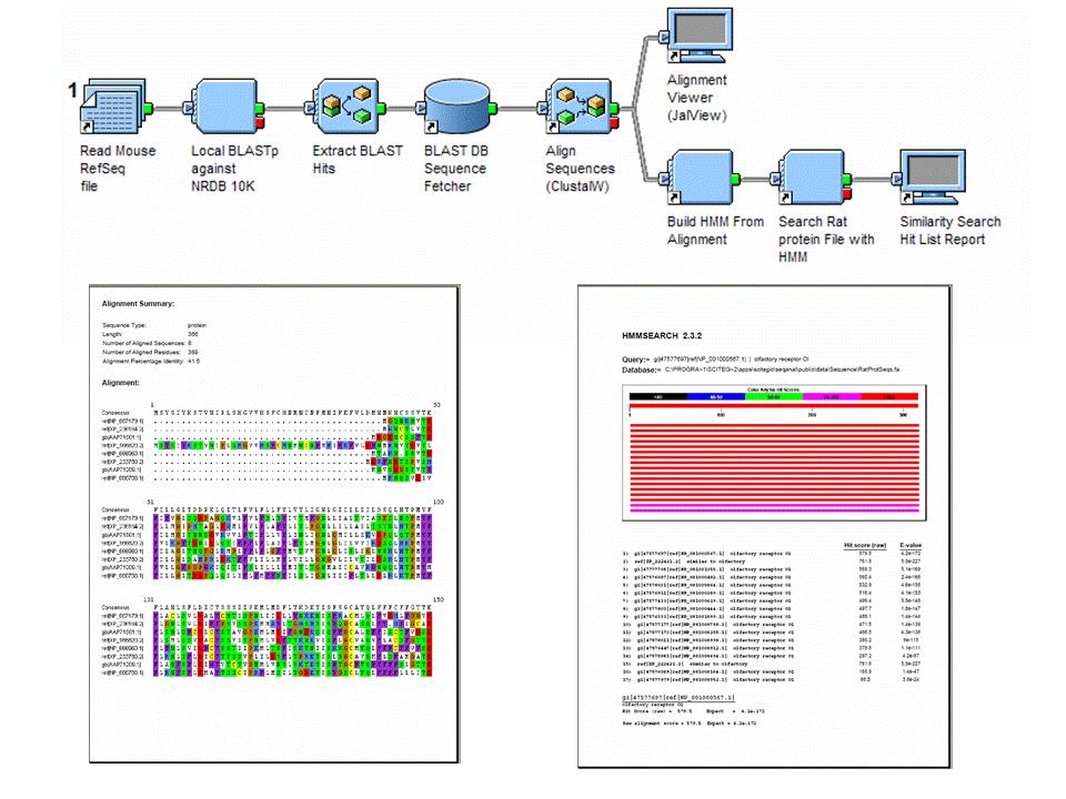 Pipeline Pilot and Bioinformatics Sequence Searching with Profile HMM A common workflow for identifying related proteins based on a sequence profile involves the following: Comparing a protein