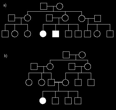 generations Trait may appear in offspring of parents who do not express the trait Trait appears to skip generations Trait appears equally in both genders Pedigree (b), above,
