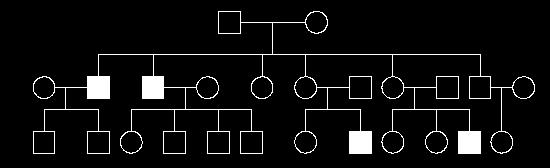 Example 3 Sex- linked Recessive Characteristics of a pedigree for a sex- linked recessive trait: Trait does not appear in all generations Trait may appear in offspring of parents who do not express