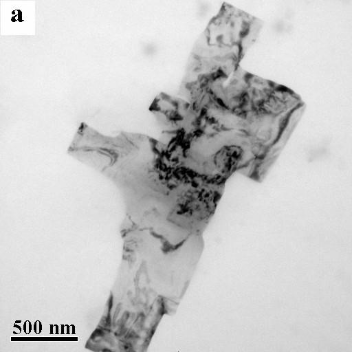 Figure 2 TEM images of the