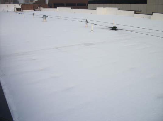 Component Evaluation Comp #: 104 Flat Roof - TPO - Replace Building Roof Approx 28,500 Sq.ft.