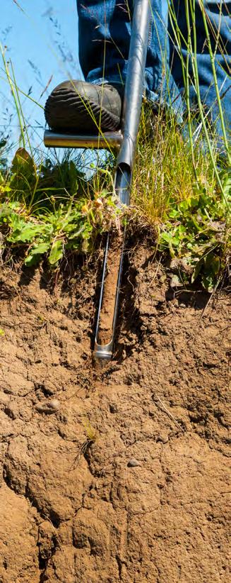 A Guide to Collecting Soil Samples for Farms and Gardens M. Fery and E. Murphy Without a soil analysis, it s nearly impossible to determine what a soil needs in order to be productive.