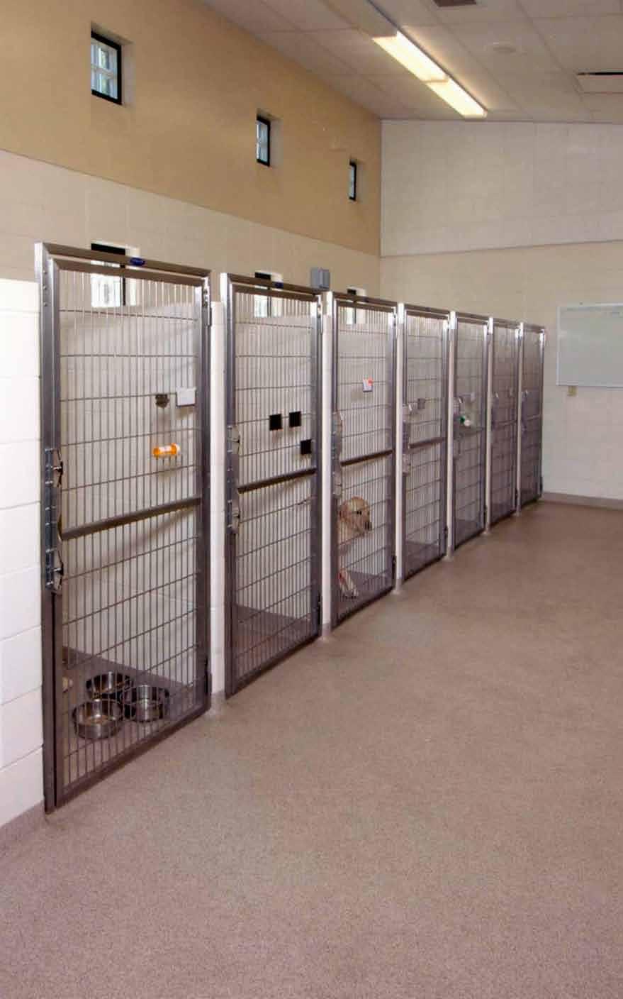 a Kennel