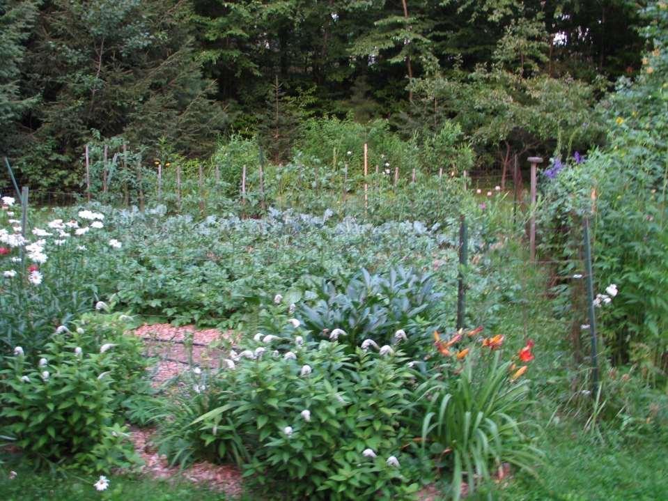 my gardens: